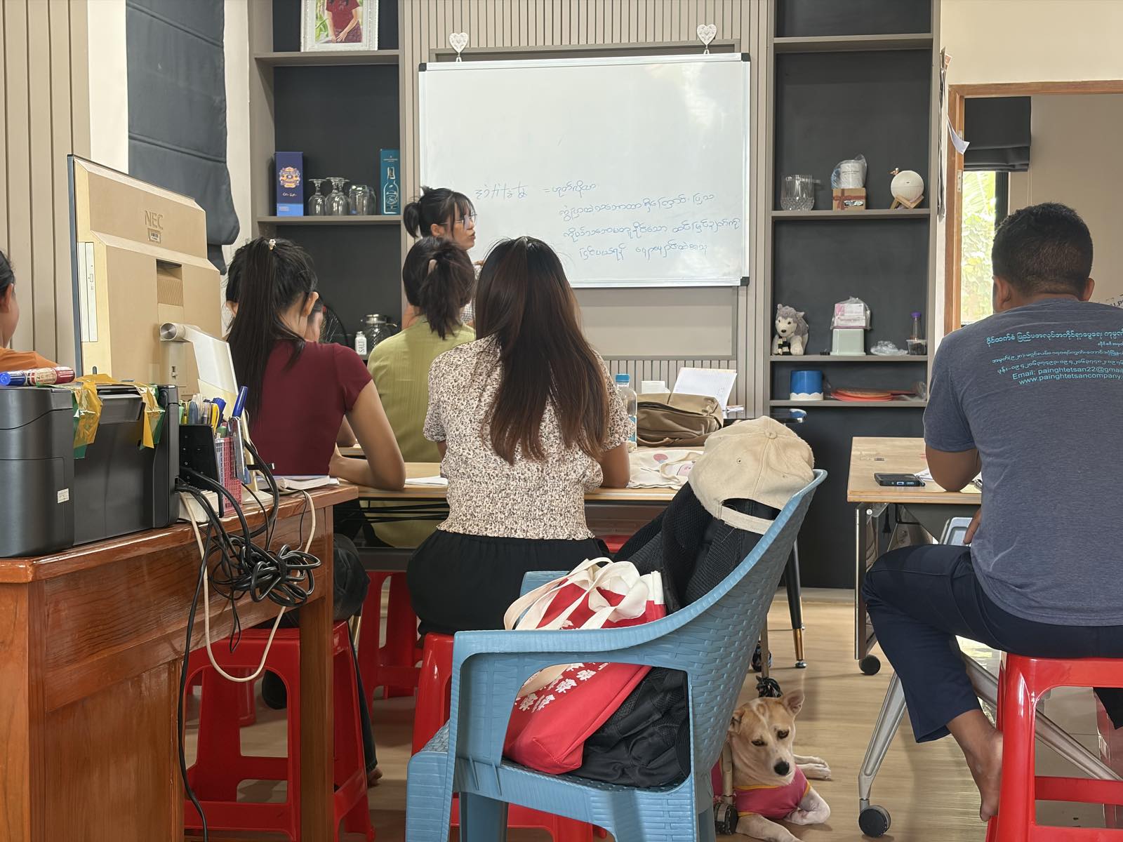 Language School Activity